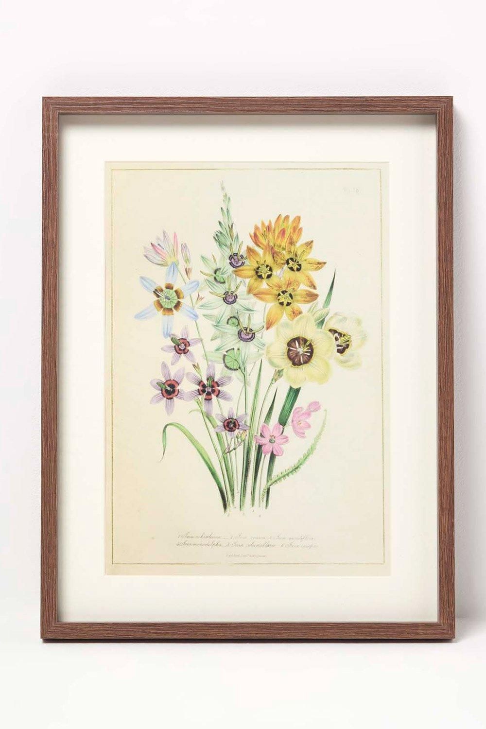 Homescapes Wall Decoration Set of 3 Frames with Picture, Wildflowers 3