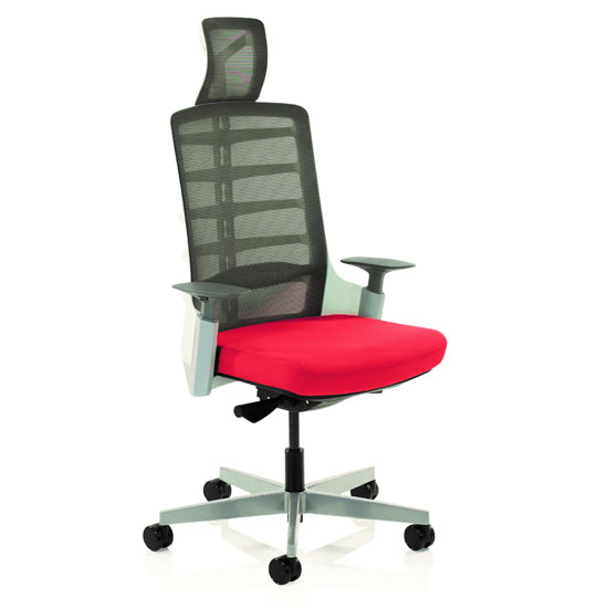 Exo Charcoal Grey Back Office Chair With Bergamot Cherry Seat