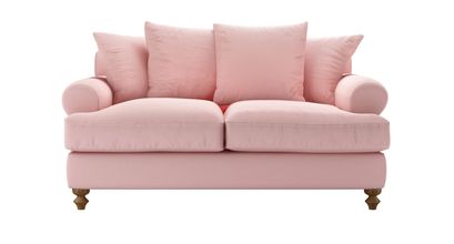 Teddy 2 Seat Sofabed in Rhubarb Smart Cotton - sofa.com