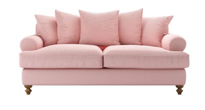 Teddy 2.5 Seat Sofabed in Rhubarb Smart Cotton - sofa.com
