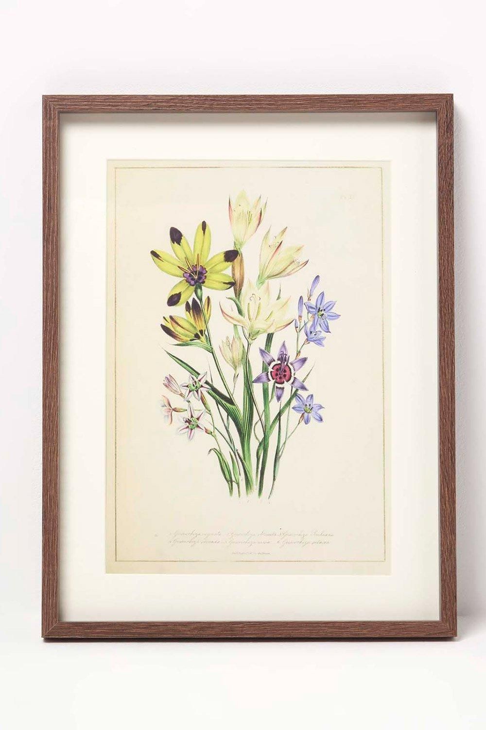 Homescapes Wall Decoration Set of 3 Frames with Picture, Wildflowers 2