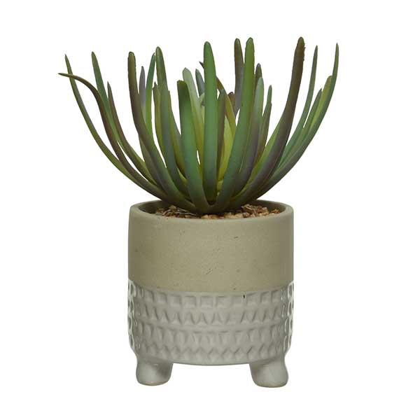 Small White Pot Plant