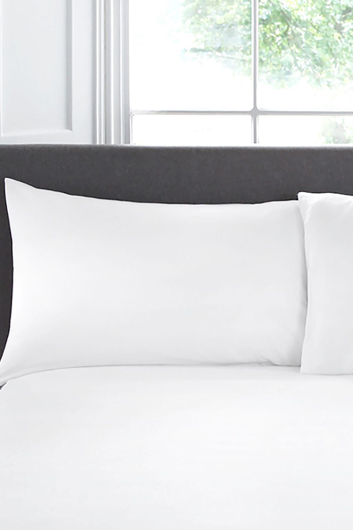 Appletree 'Premium 200TC Plain Dye' Hotel Quality 100% Percale Cotton Housewife Pillowcases (Pair) in White
