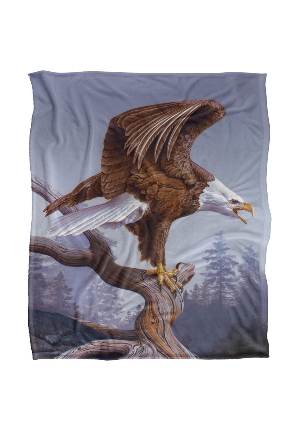 JQ Licensing Jg Taking Flight Eagle Silky Touch Super Soft Throw Blanket 152 X 127 cm in White