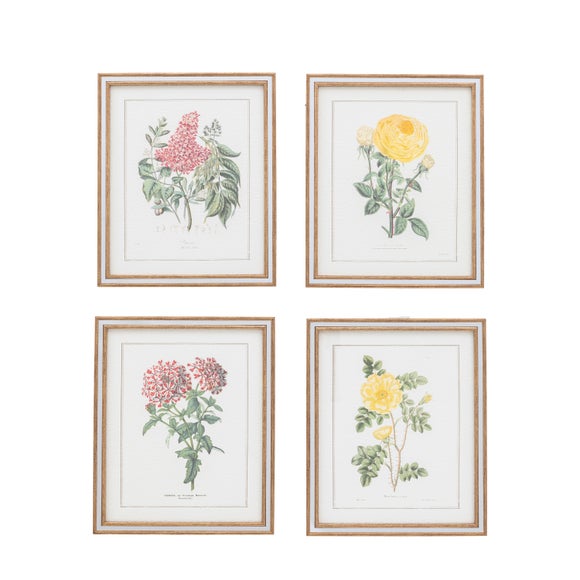 Cedar & Sage Set of 4 Floral Quartet Framed Prints