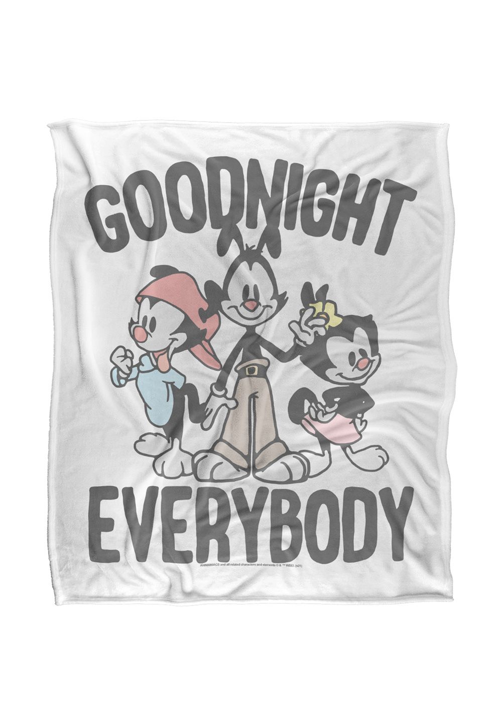 Warner Brothers Animaniacs 152x127cm The Siblings Silky Touch Super Soft Throw Blanket in White