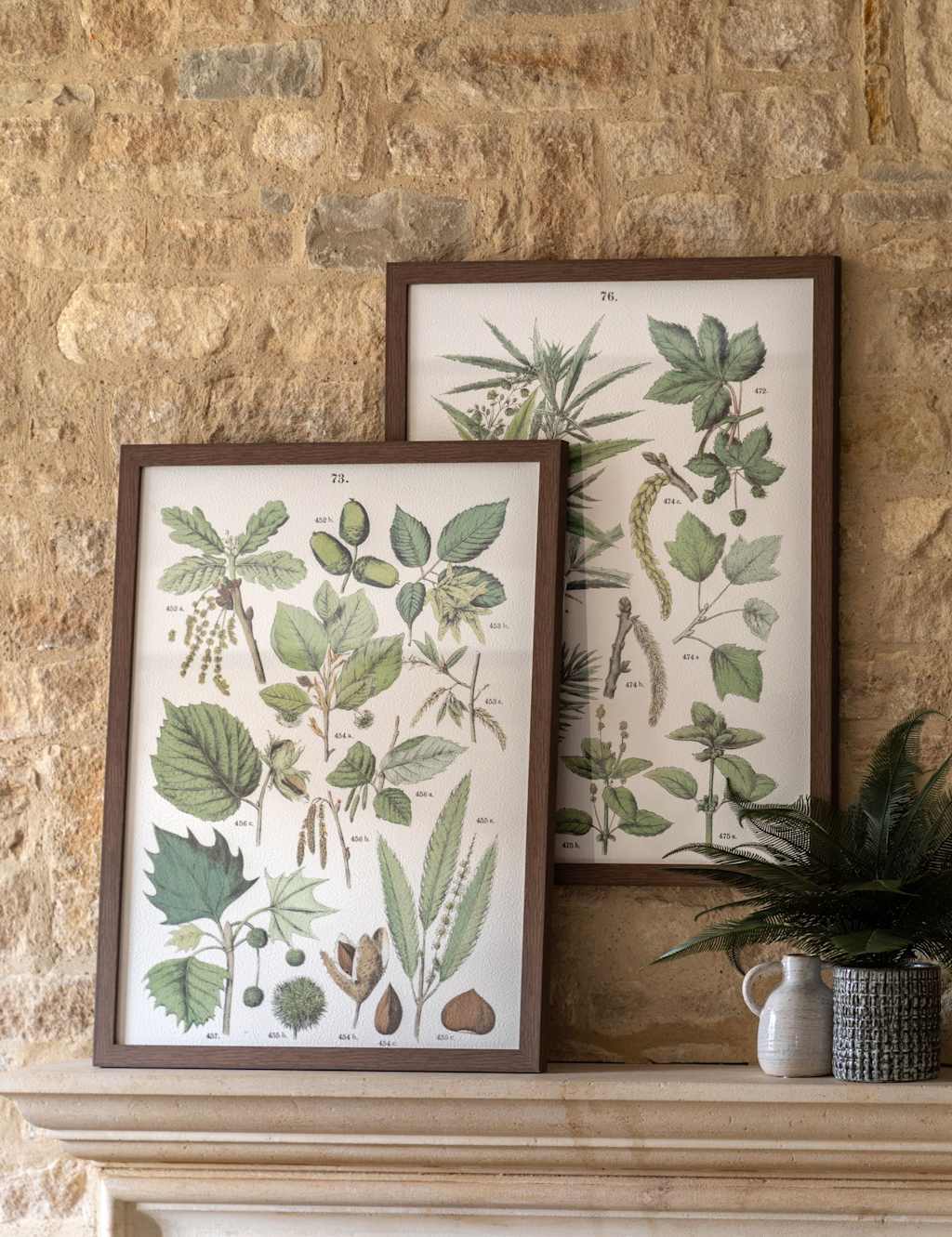 Gallery Direct Set of 2 Foliage Study Framed Art Green