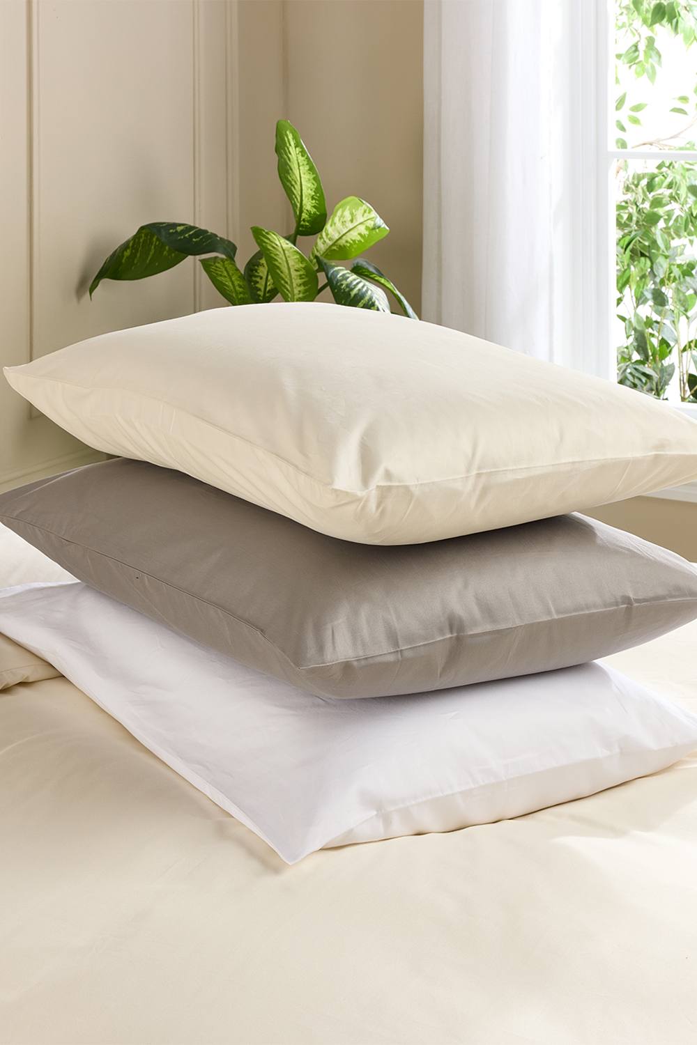 Hotel Pure Luxury 4 Star Classic Pillowcase - Pair in Cream