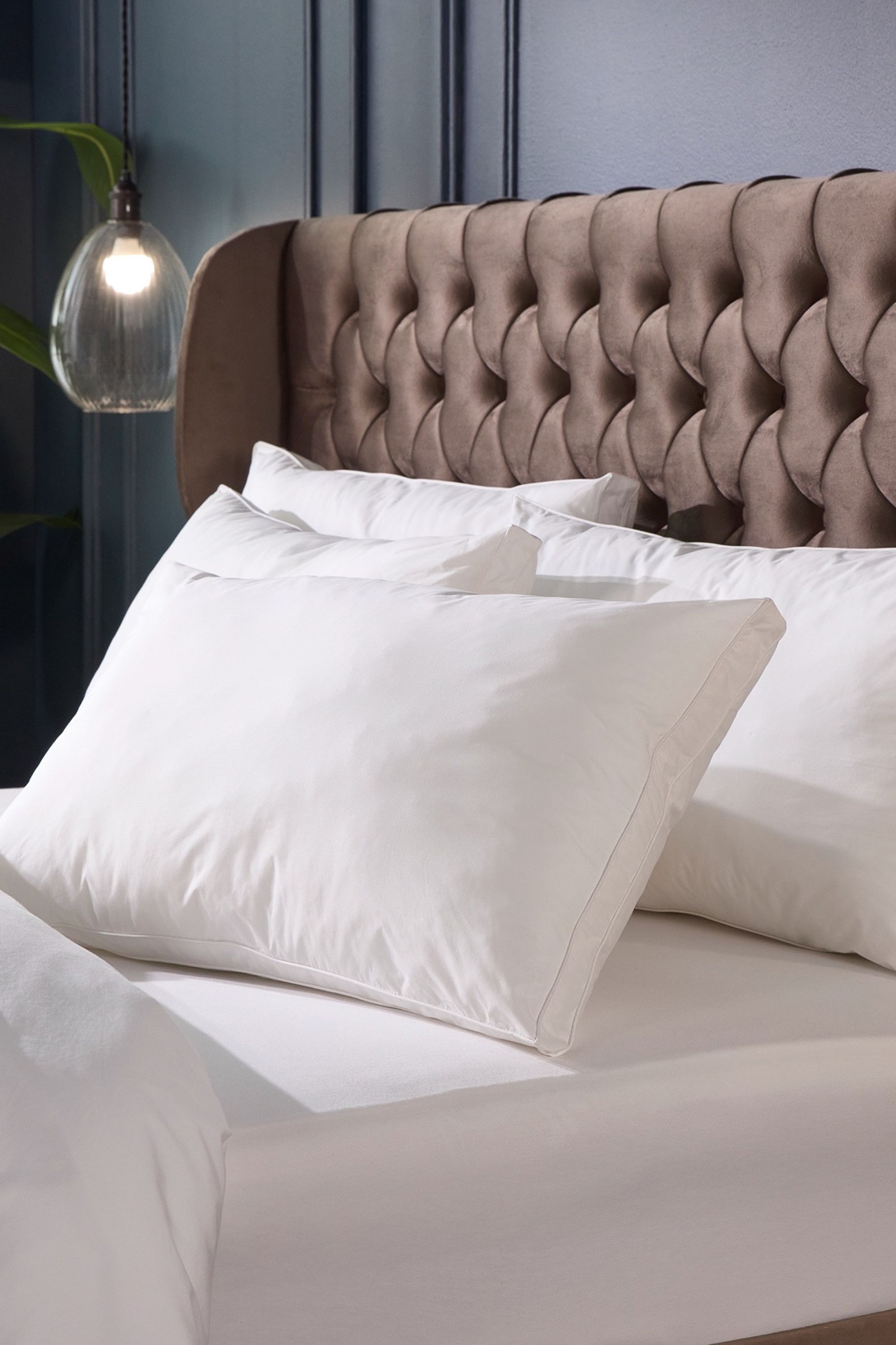 Snuggledown 1 Pack Retreat Indulgent Cotton Soft Support Pillow in White