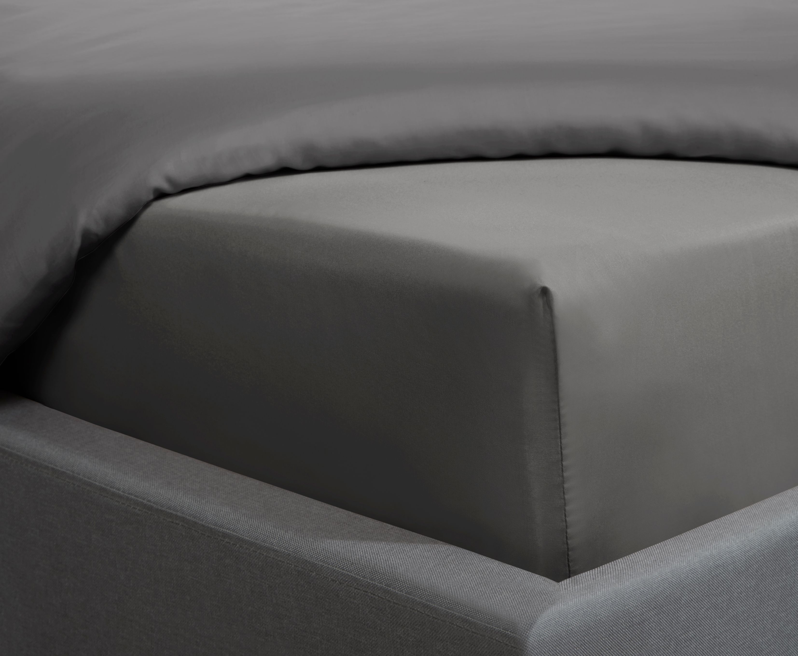 Smart Living Luxurious 300 Thread Count 100% Cotton Sateen Anti-Allergy Fitted Sheet in Charcoal