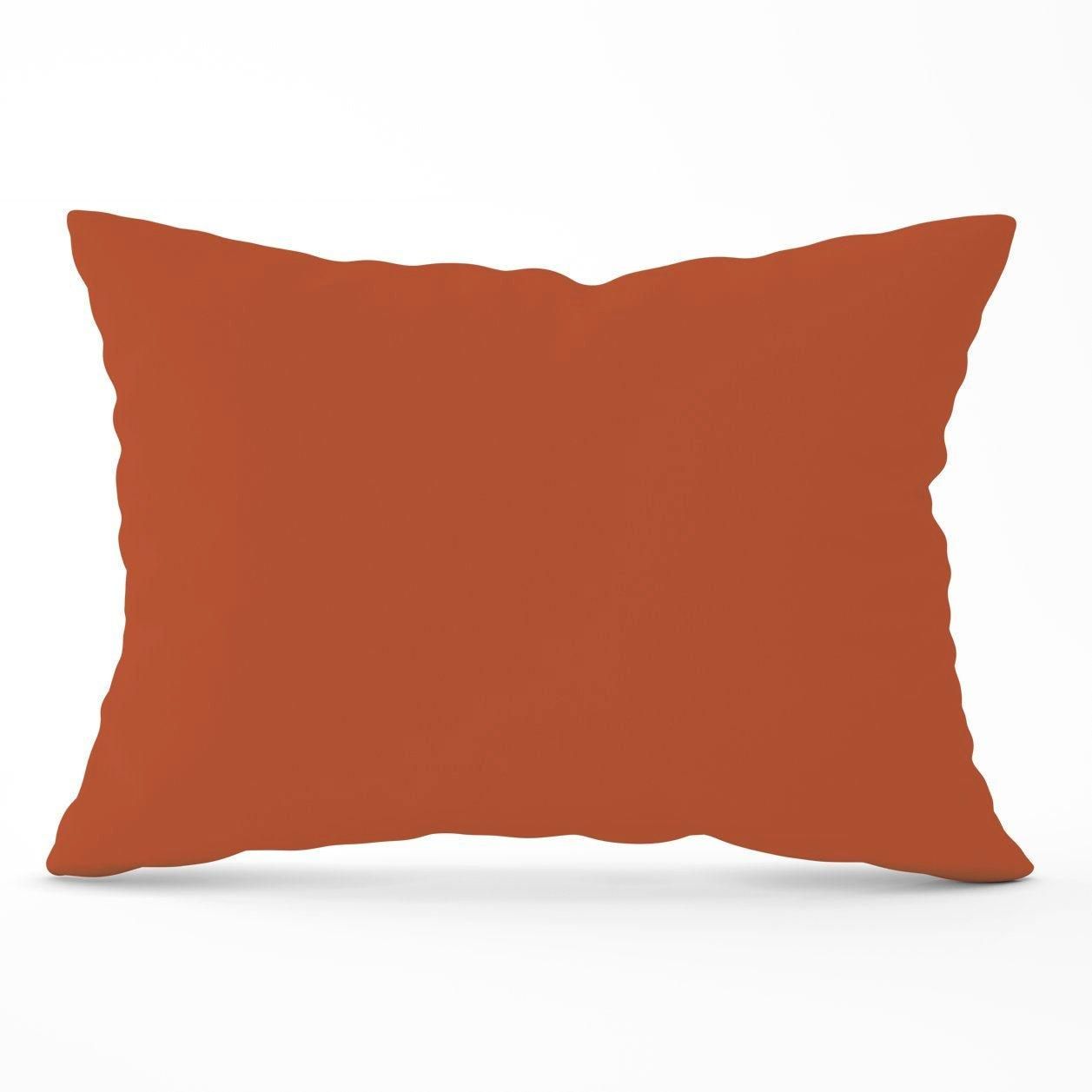 Warren Reed - Designer Rusty Orange Cushions