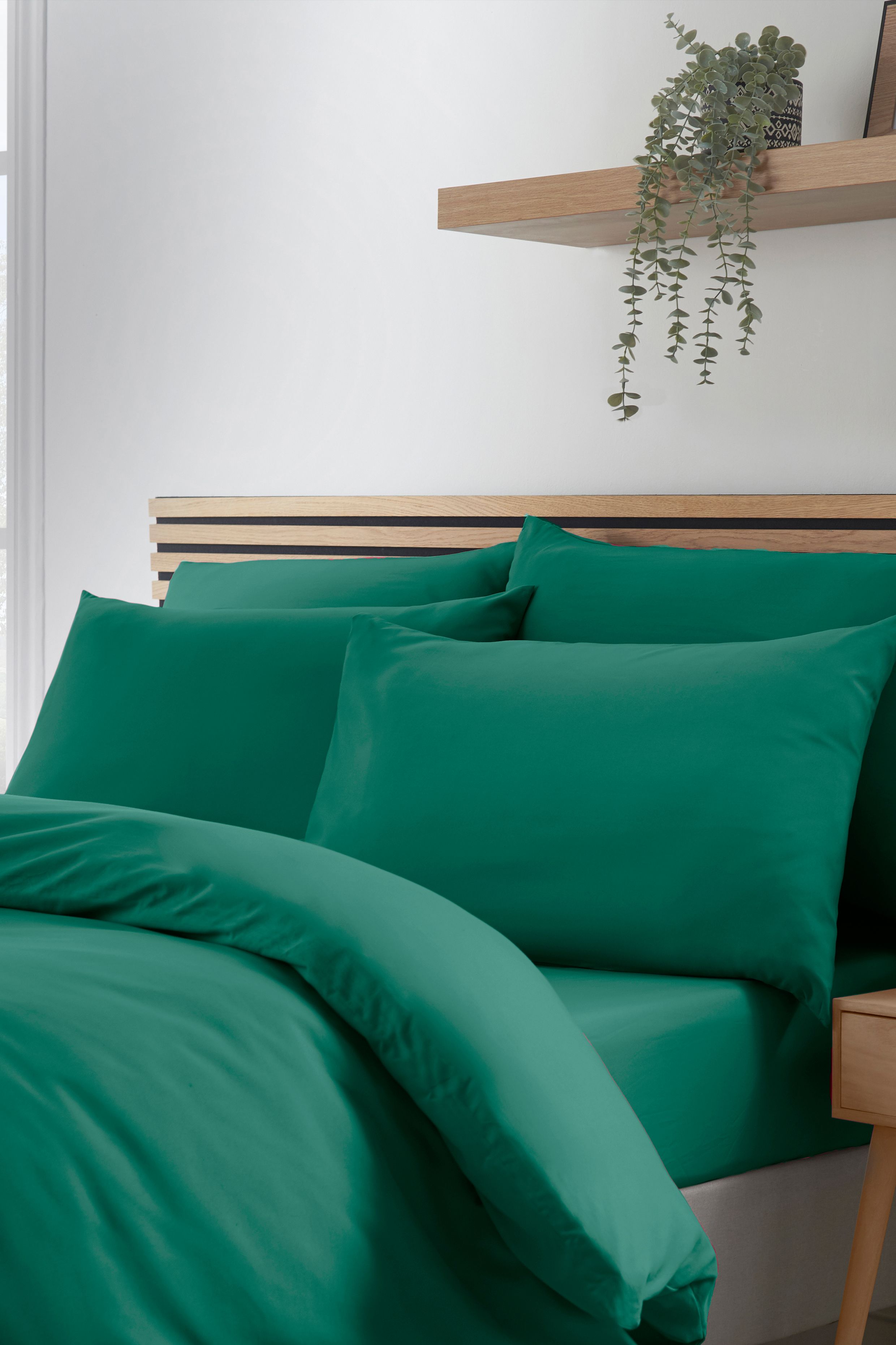 Catherine Lansfield So Soft Non Iron Standard Pillowcase Pack of 4 in Teal