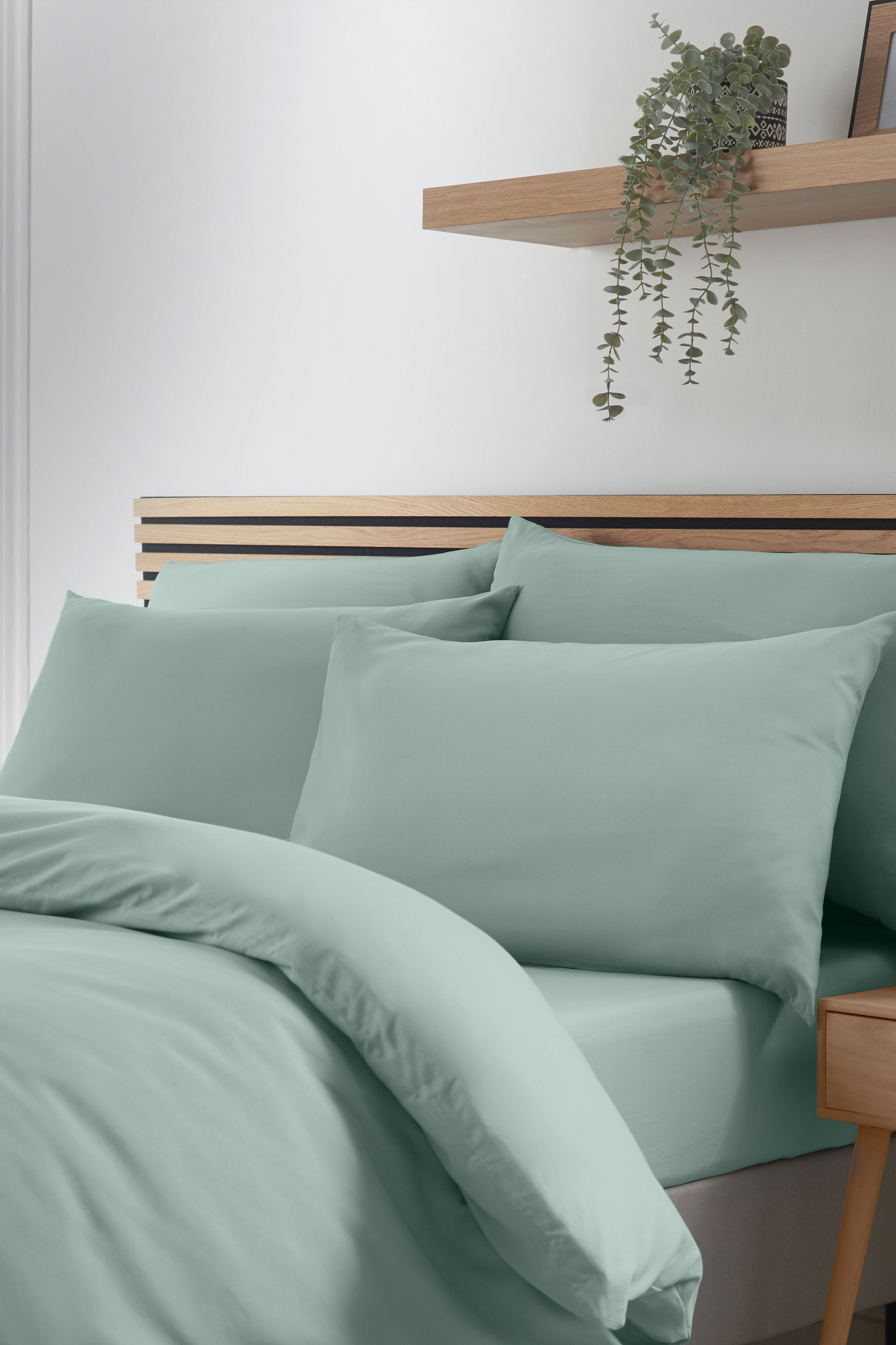 Catherine Lansfield So Soft Non Iron Standard Pillowcase Pack of 4 in Green