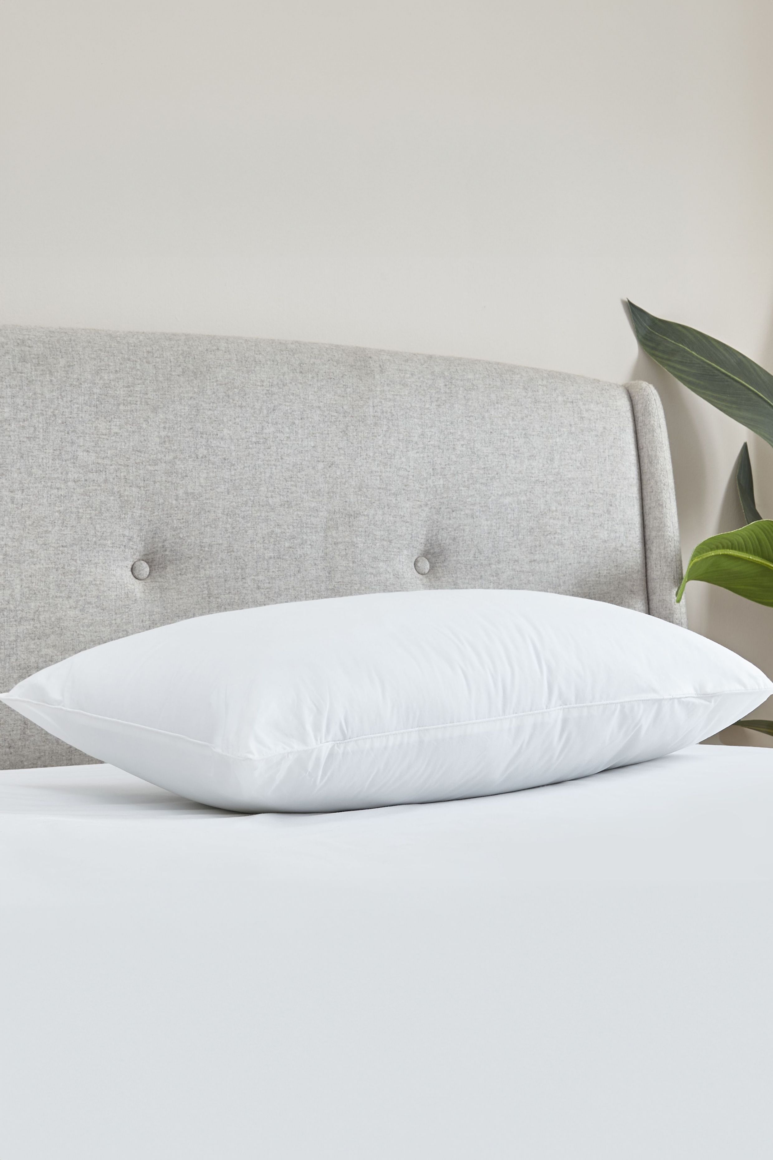 Catherine Lansfield 'Cotton Spring' Pillow in White 2