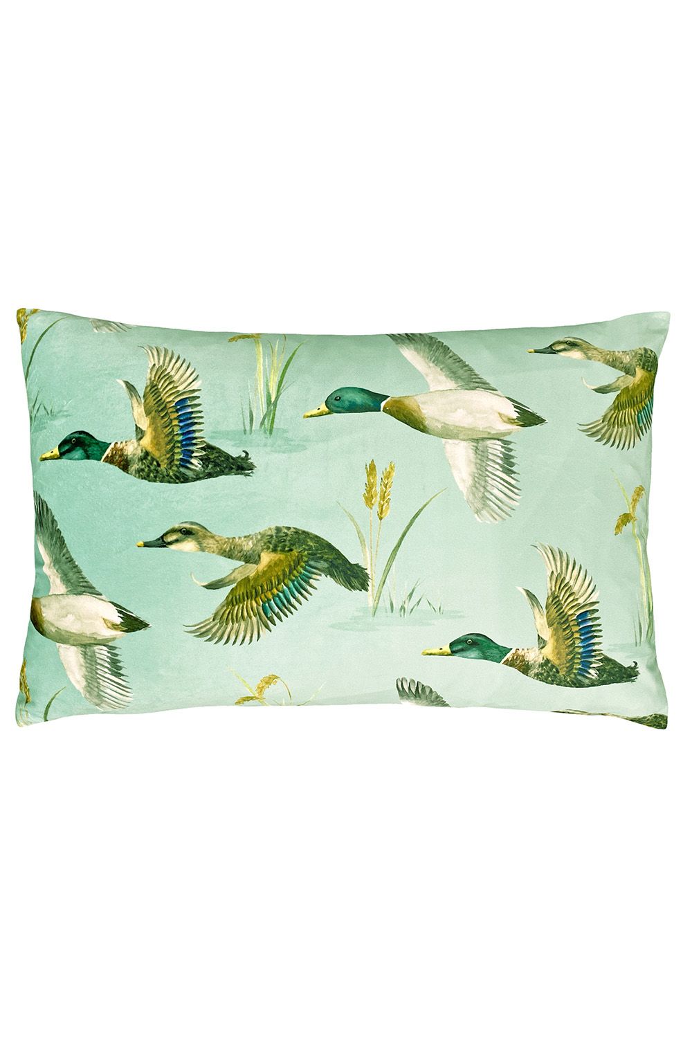 Evans Lichfield Country Duck Pond Hand-Painted Printed Cushion in Mint