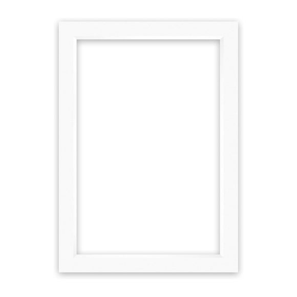 Nielsen Conservation White Picture Mount