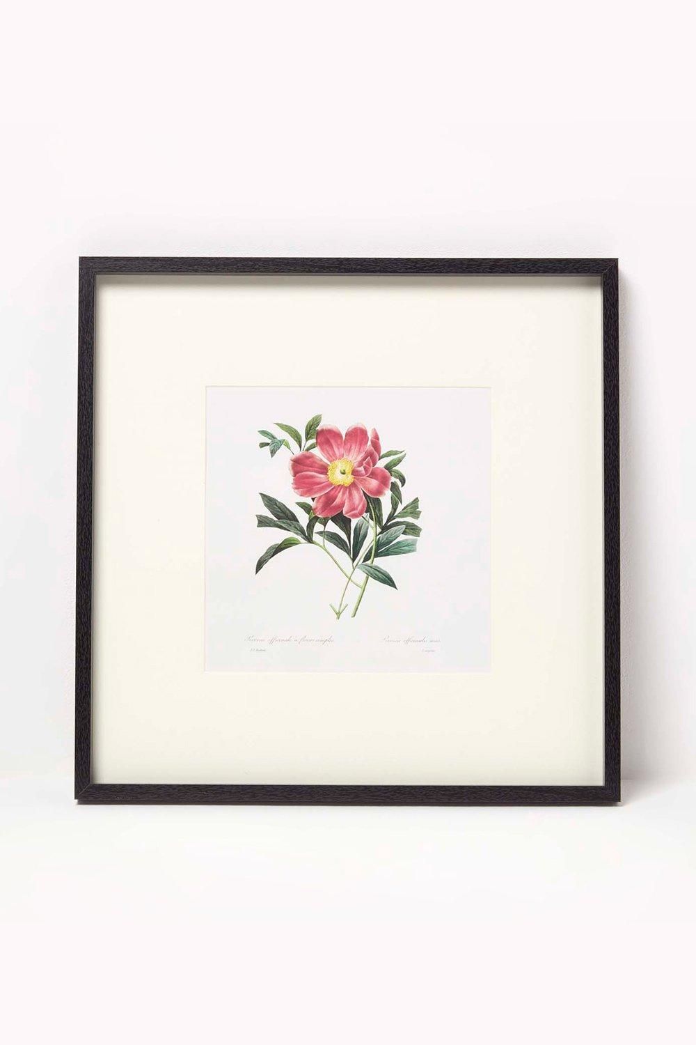 Homescapes Wall Decoration Set of 3 Frames with Picture, Peonies 4