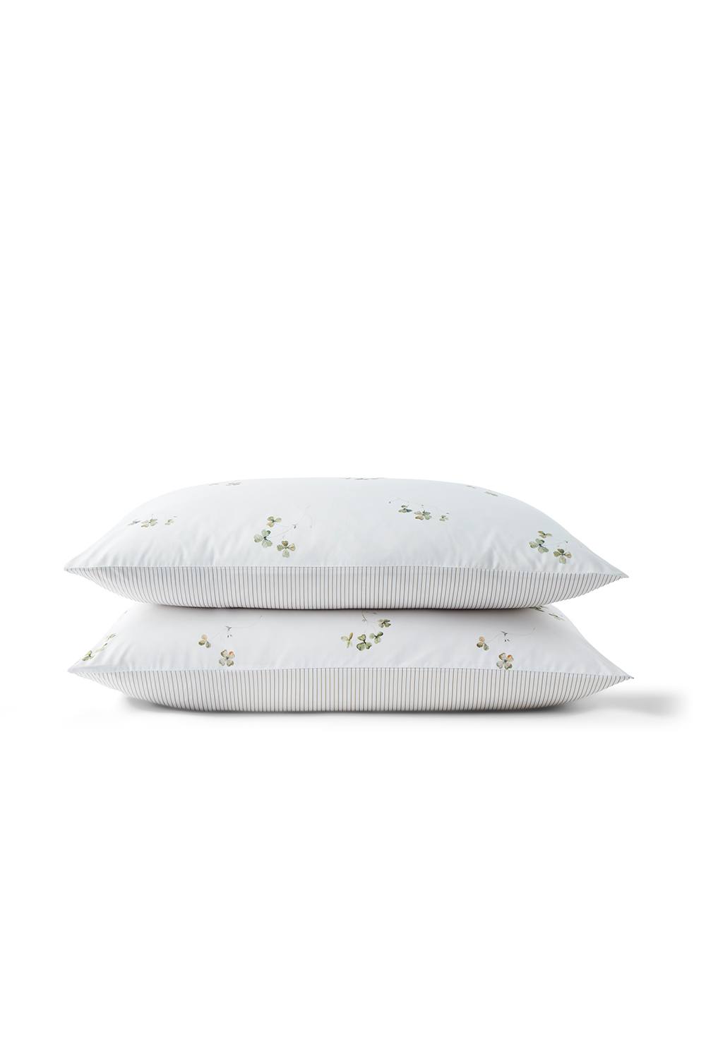 CHRISTY 'Clover' Romantic Floral Cotton Percale Standard Pillowcase Pair in White 2