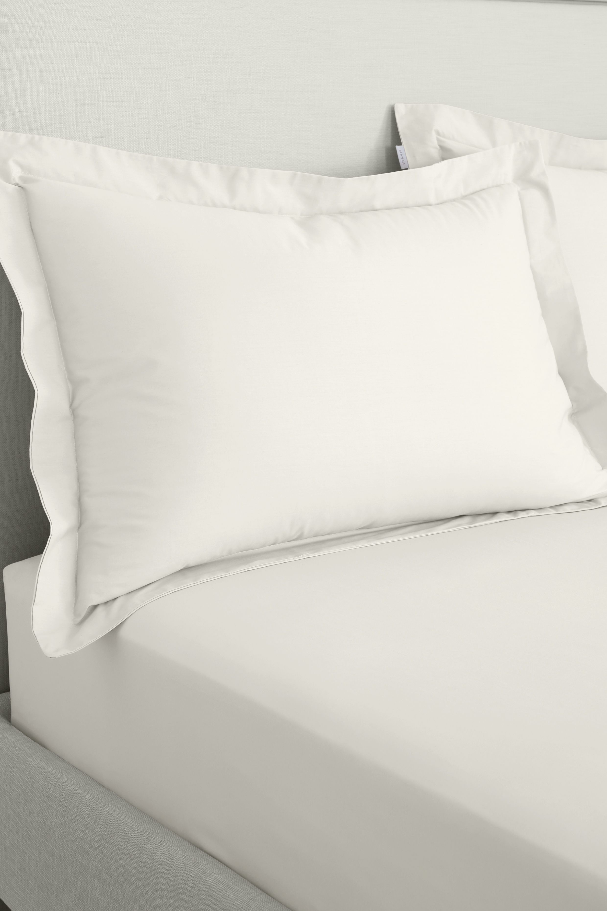 Bianca '200 Thread Count Cotton Percale' Oxford Pillowcases in Cream