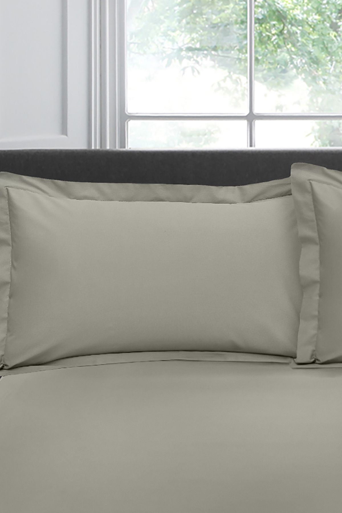 Appletree 'Premium 200TC Plain Dye' Hotel Quality 100% Percale Cotton Oxford Pillowcases (Pair) in Silver
