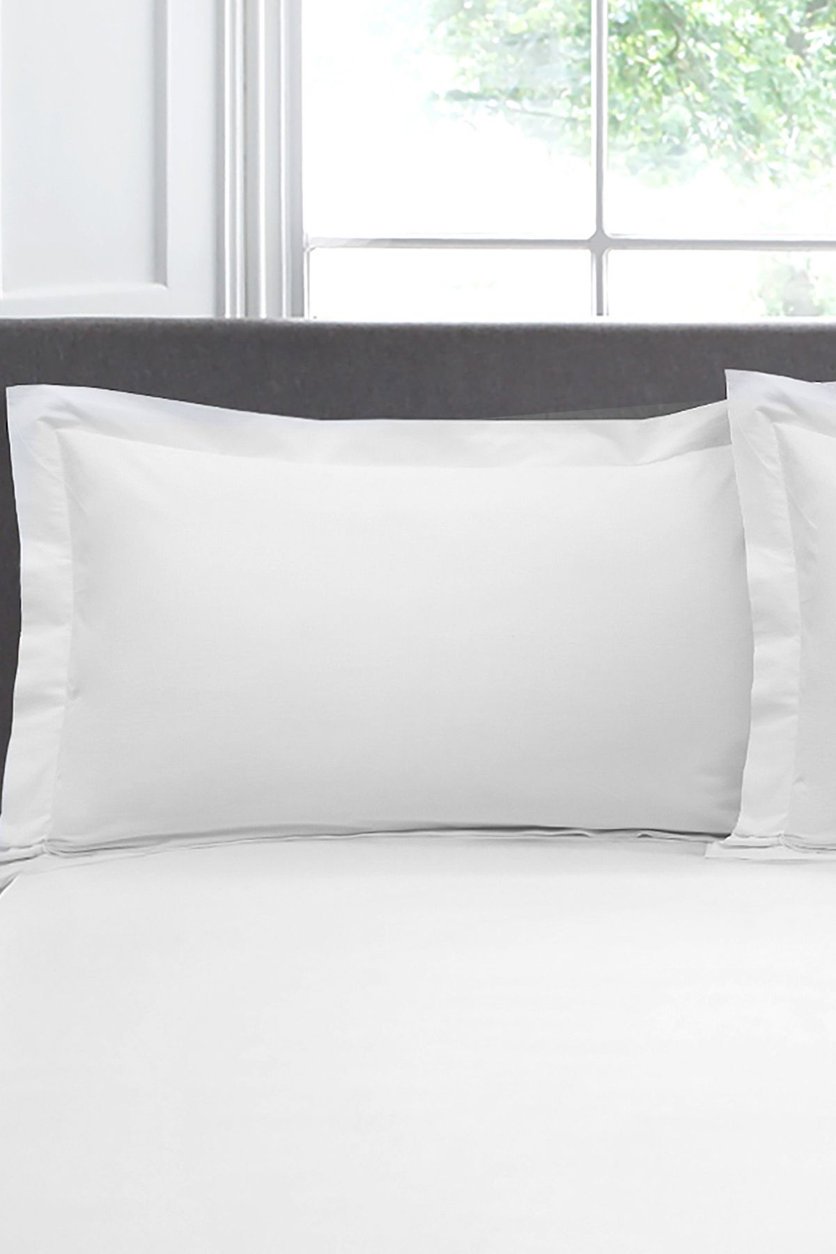 Appletree 'Premium 200TC Plain Dye' Hotel Quality 100% Percale Cotton Oxford Pillowcases (Pair) in White