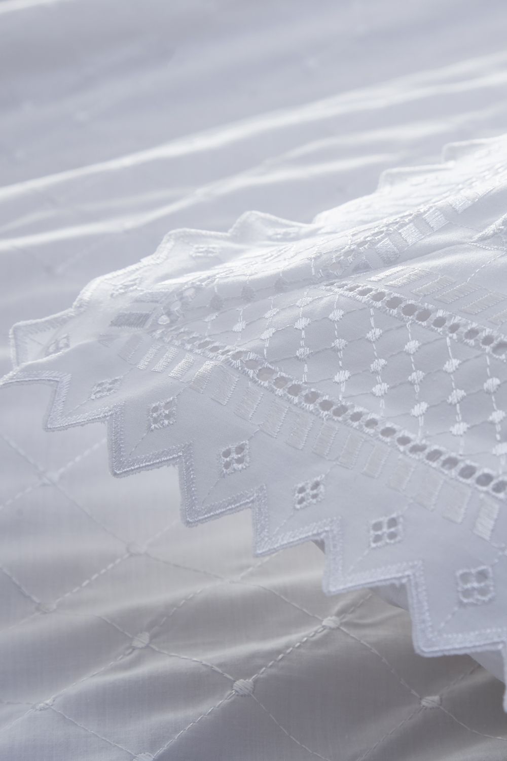 Portfolio Home Broderie Anglaise Pair of Pillowcases in White