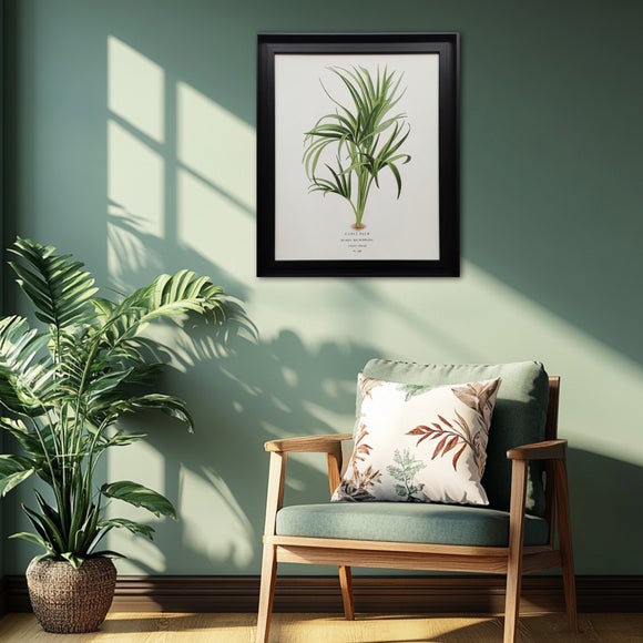 Curly Palm by Piddix Framed Print