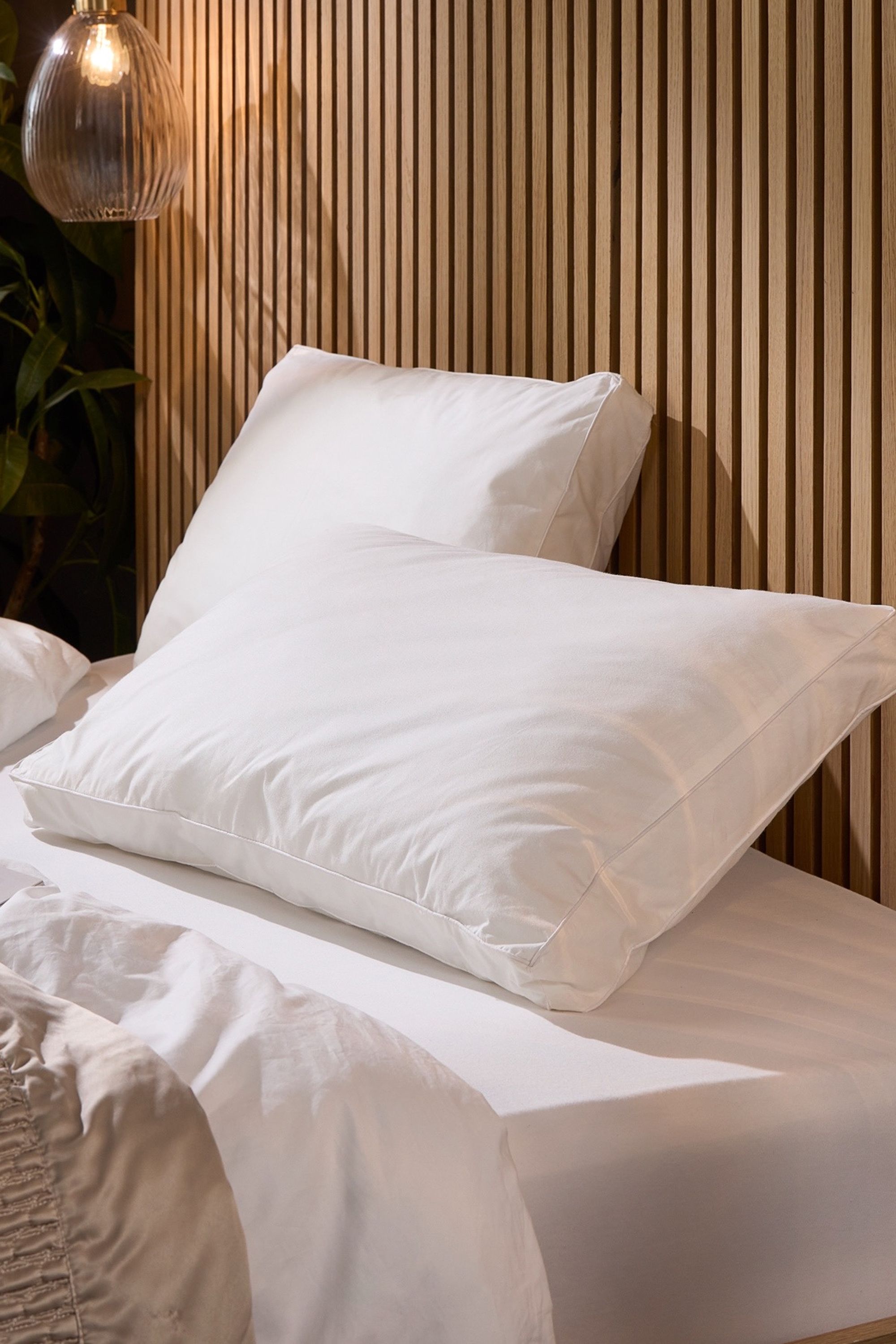 Snuggledown 1 Pack Hotel Back Sleeper Box Pillow in White