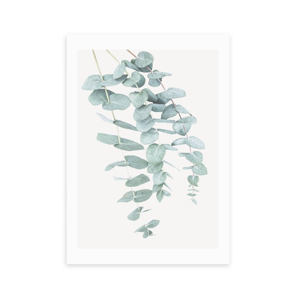 East End Prints Eucalyptus 2 Print