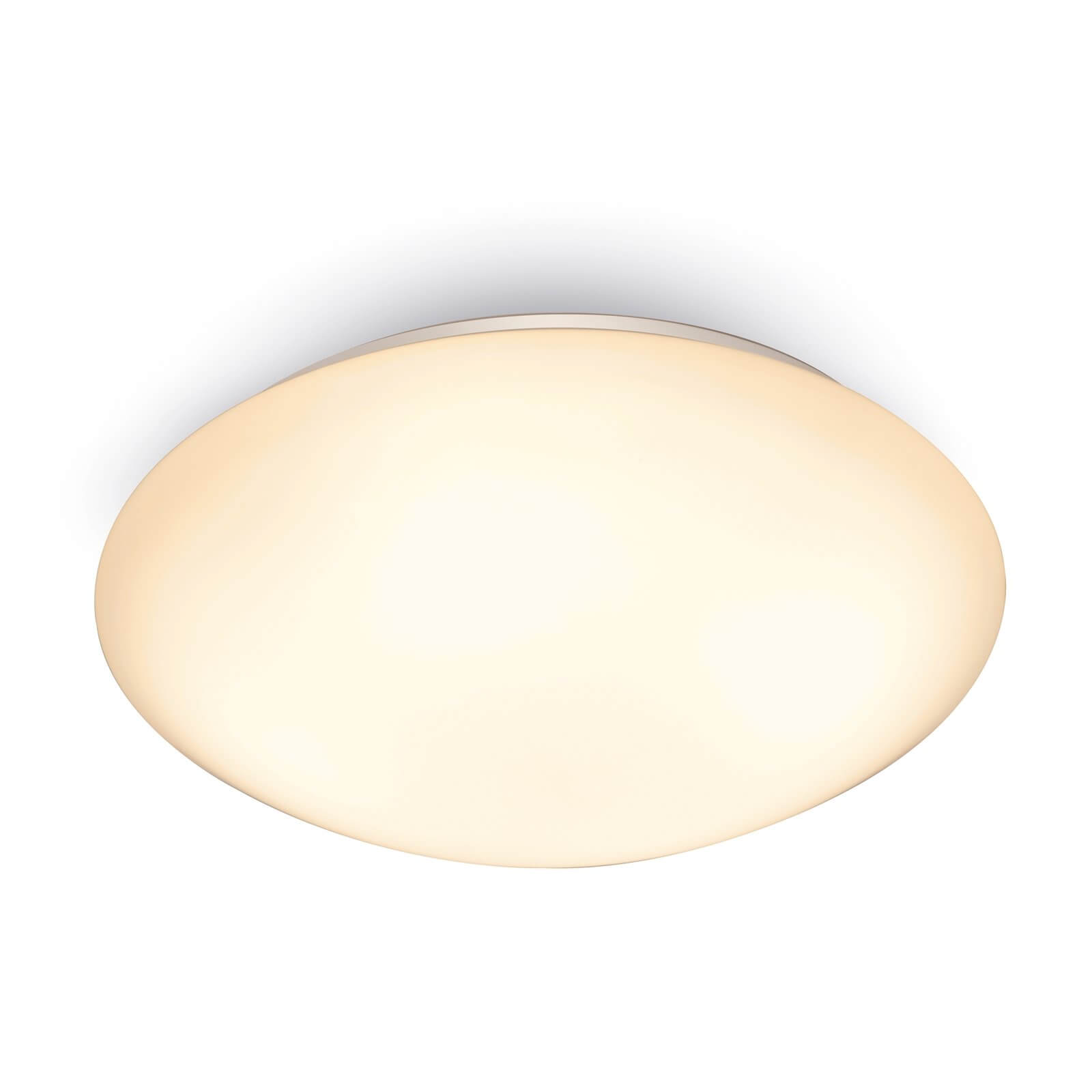 Dion 13W Warm White 25cm Flush Light
