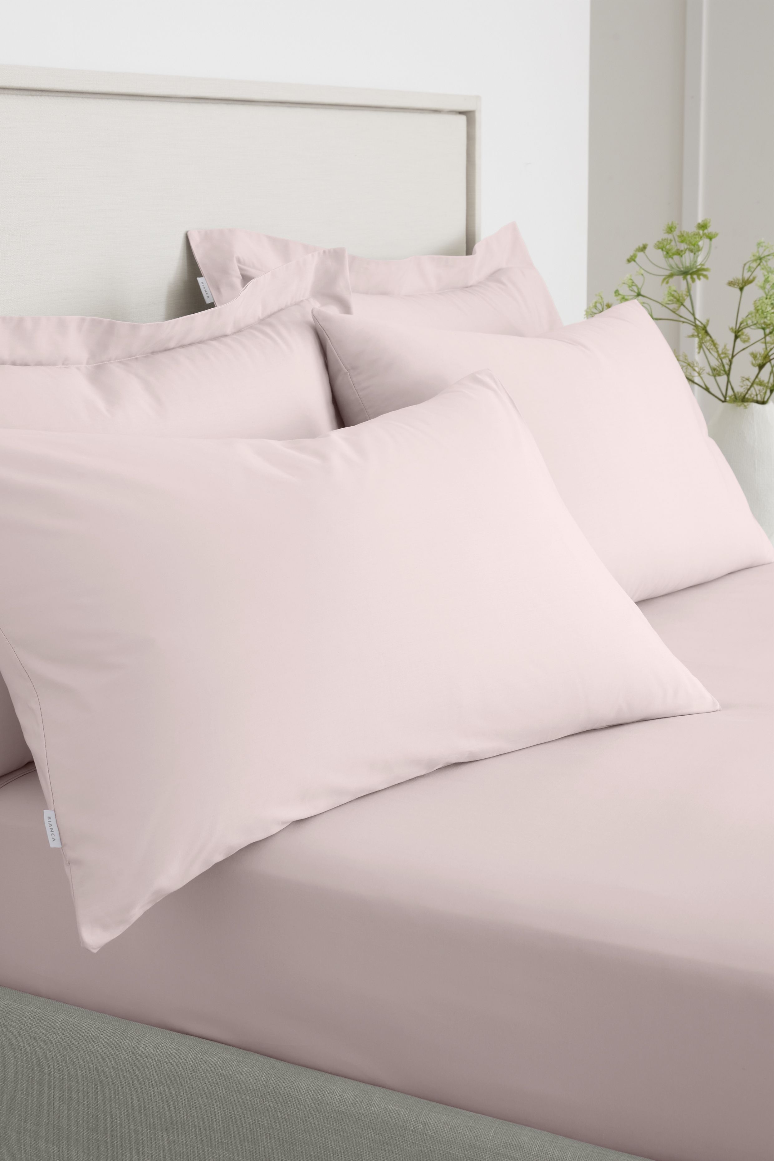 Bianca '200 Thread Count Cotton Percale' Standard Pillowcase Pair in Pink