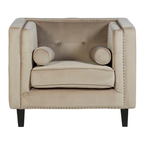 Felisen Velvet Upholstered Armchair In Mink