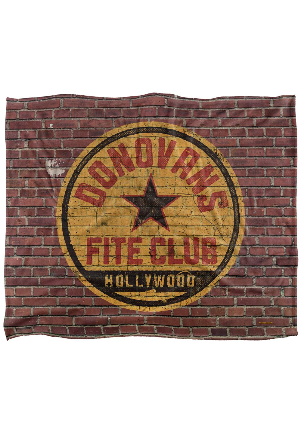 ViacomCBS/Nickelodeon Ray Donovan Fite Club Silky Touch Super Soft Throw Blanket 152 X 127 cm in White