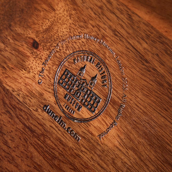 Nature's Exhibitionists Patterned Decorative Tray 4