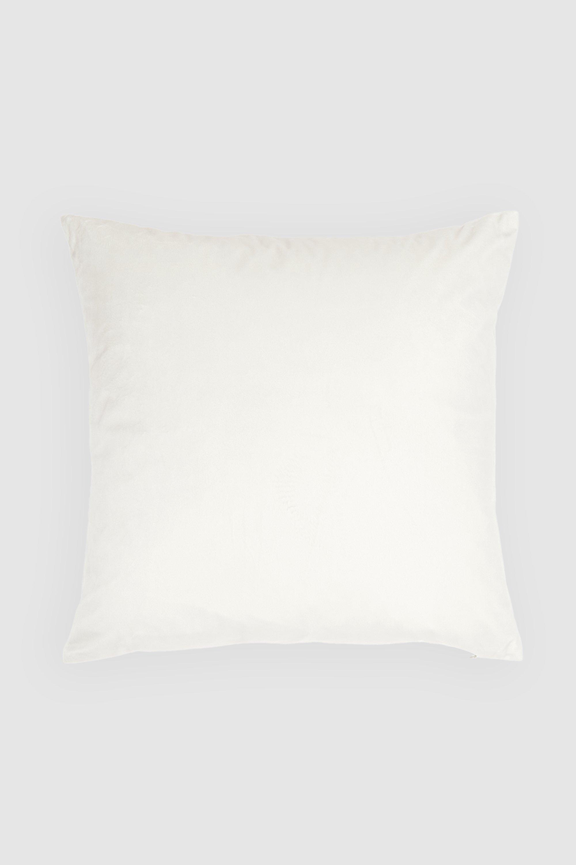 Velvet Cushion