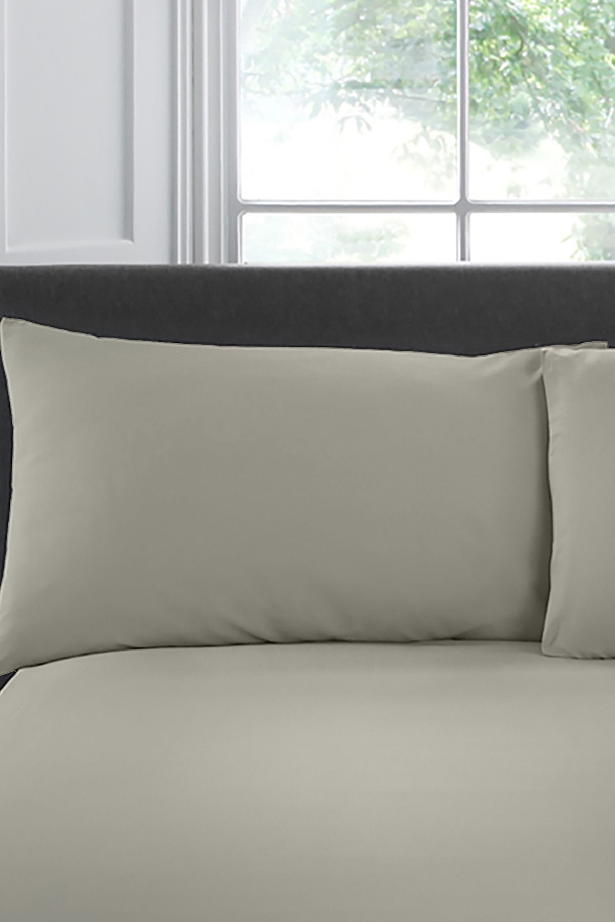 Appletree 'Premium 200TC Plain Dye' Hotel Quality 100% Percale Cotton Housewife Pillowcases (Pair) in Silver