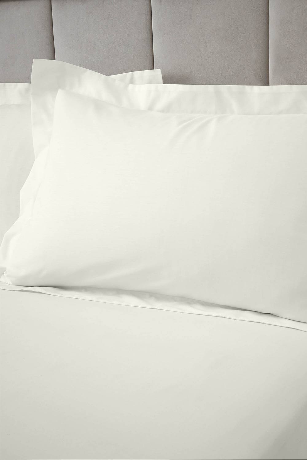 Bianca 180 Thread Count Egyptian Cotton Oxford Pillowcase in Cream