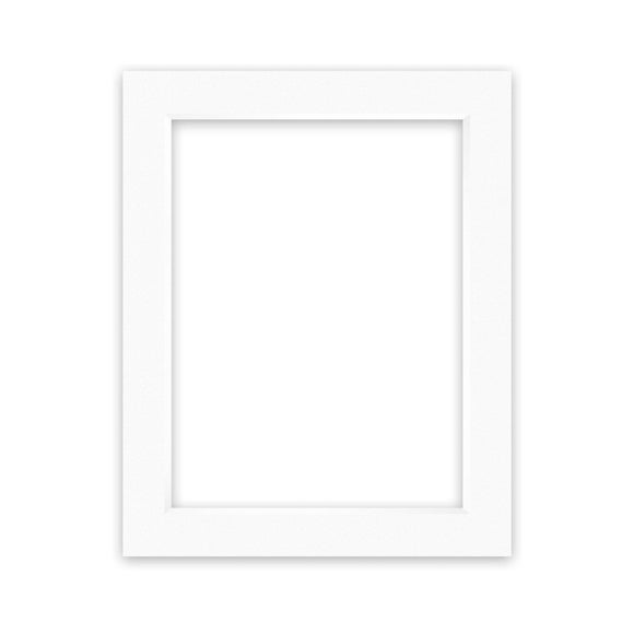 Nielsen Conservation White Picture Mount