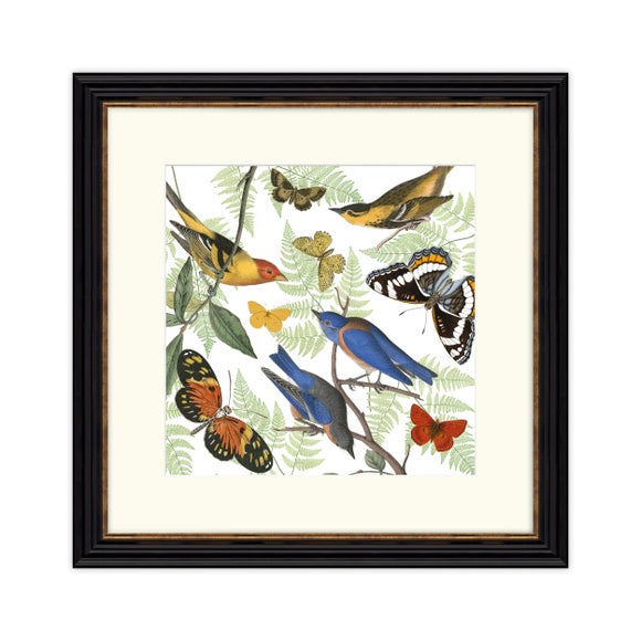 Artko Nature's Flight Framed Print 3
