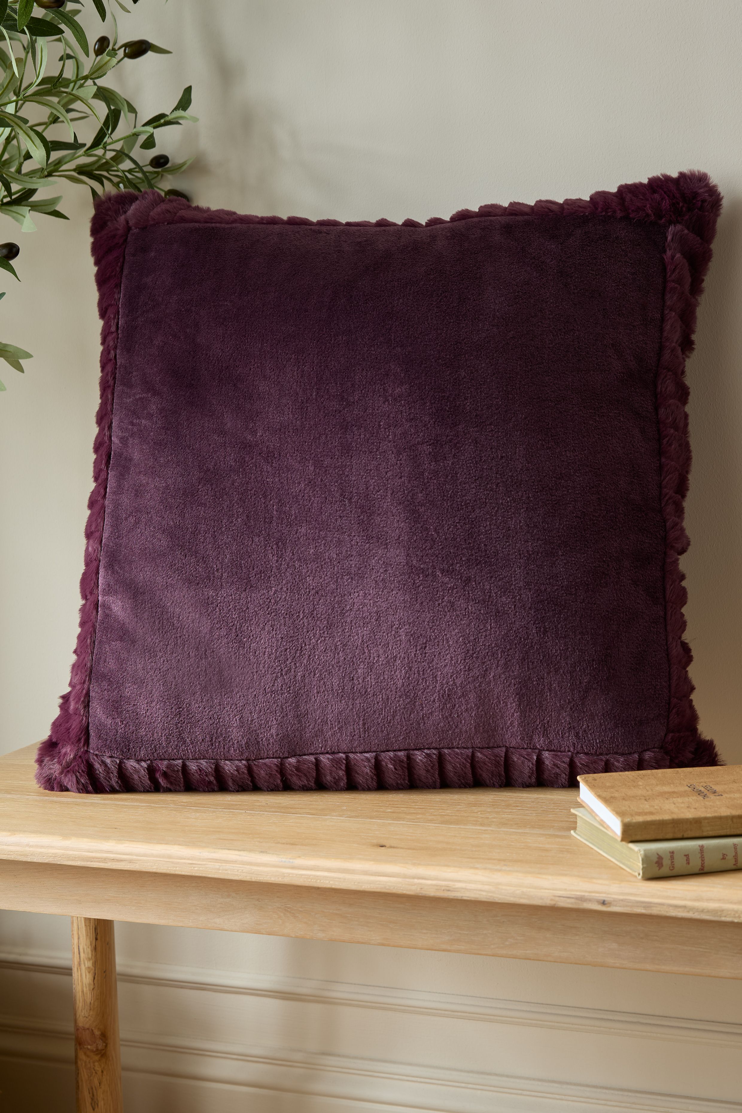 Catherine Lansfield 'Velvet & Faux Fur' 55x55cm Cushion in Plum