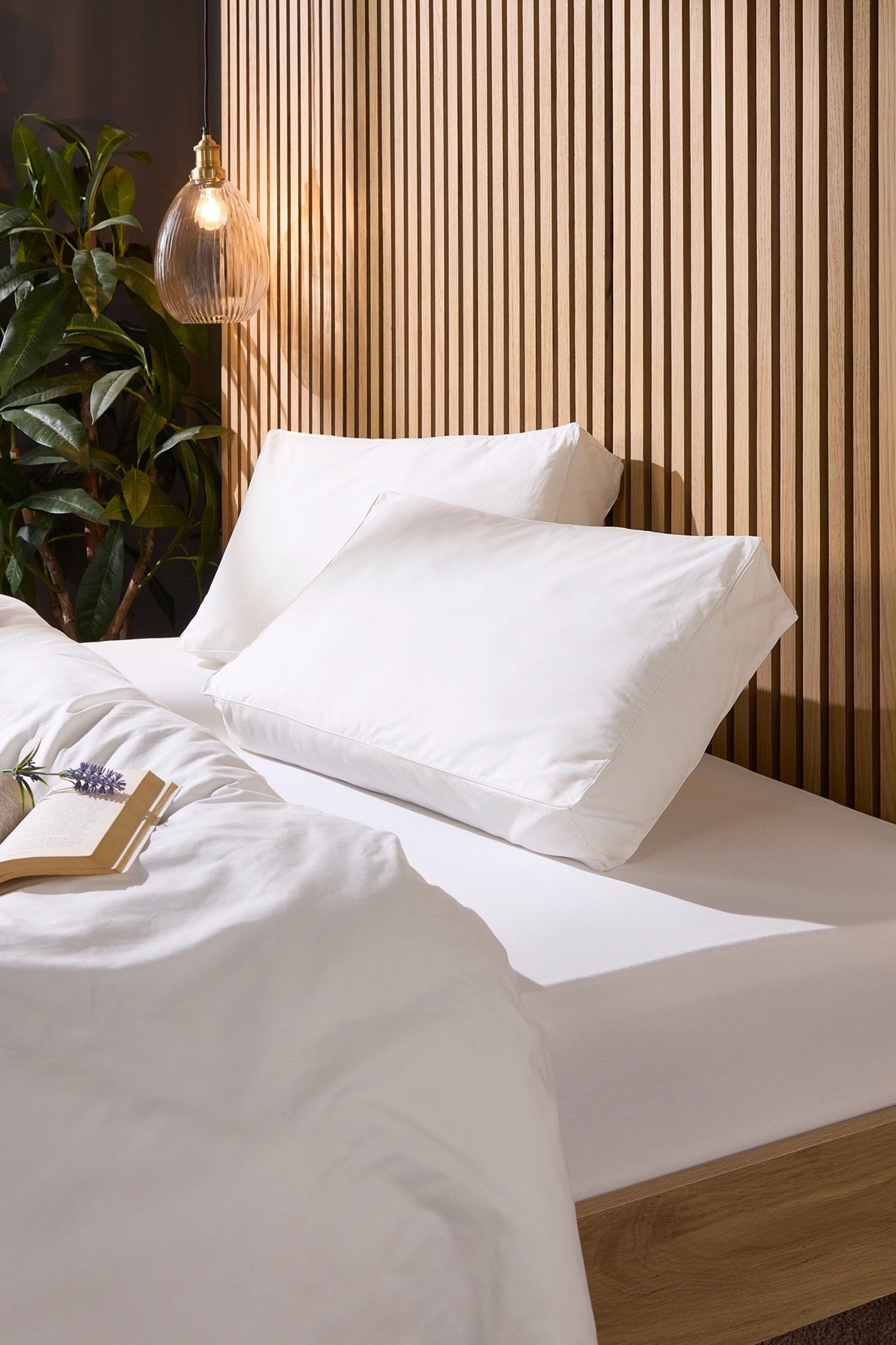Snuggledown Hotel Side Sleeper Pillow - Firm Support, Deep Filled Cotton Box Pillow in White