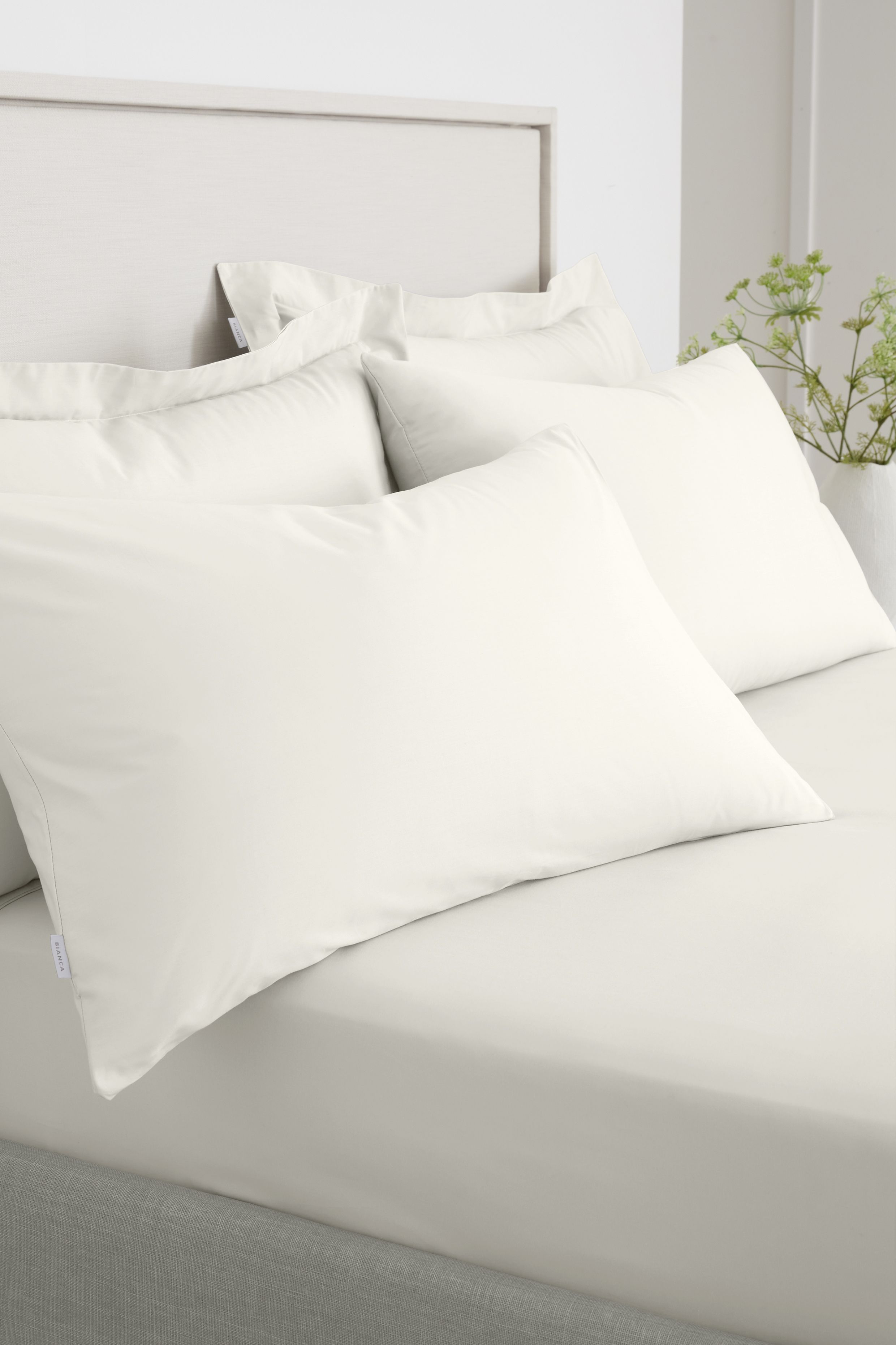 Bianca '200 Thread Count Cotton Percale' Standard Pillowcase Pair in Cream