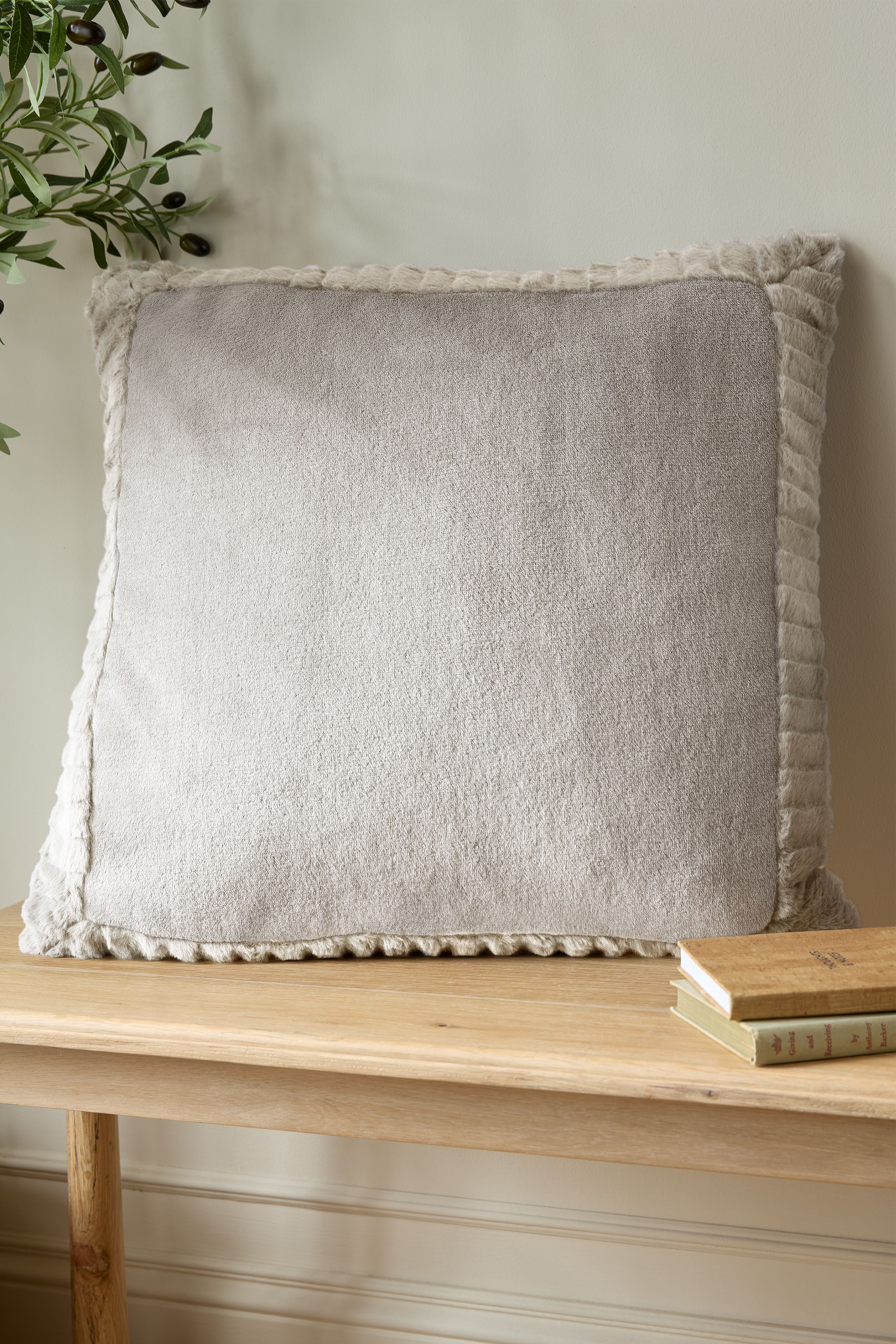 Catherine Lansfield 'Velvet & Faux Fur' 55x55cm Cushion in Natural