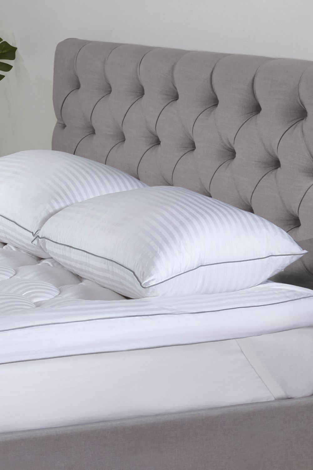 BHS 5 Star Hotel Collection Australian Wool Single Pillow in White
