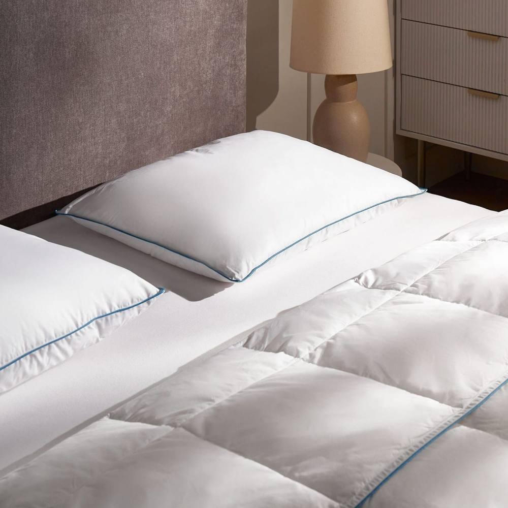 Wyld and Coco Duck Feather and Down Pillow 50 x 60 cm White Cotton Casing