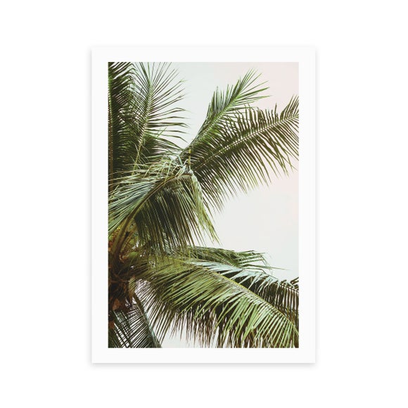 East End Prints The Palm Trees Above Me Print