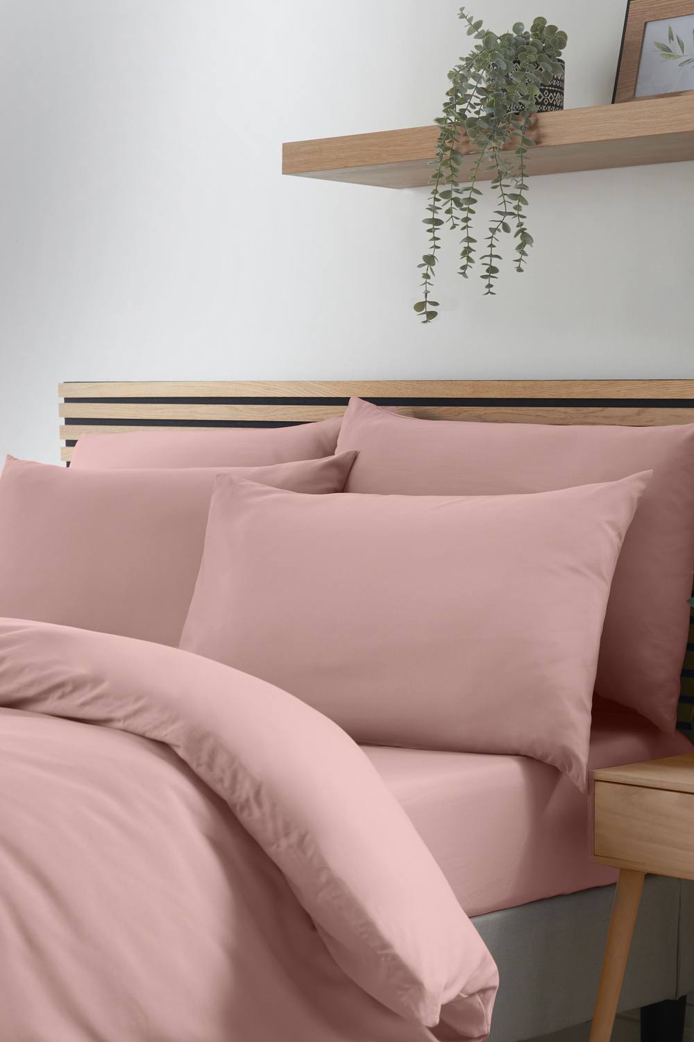 Catherine Lansfield So Soft Non Iron Standard Pillowcase Pack of 4 in Pink