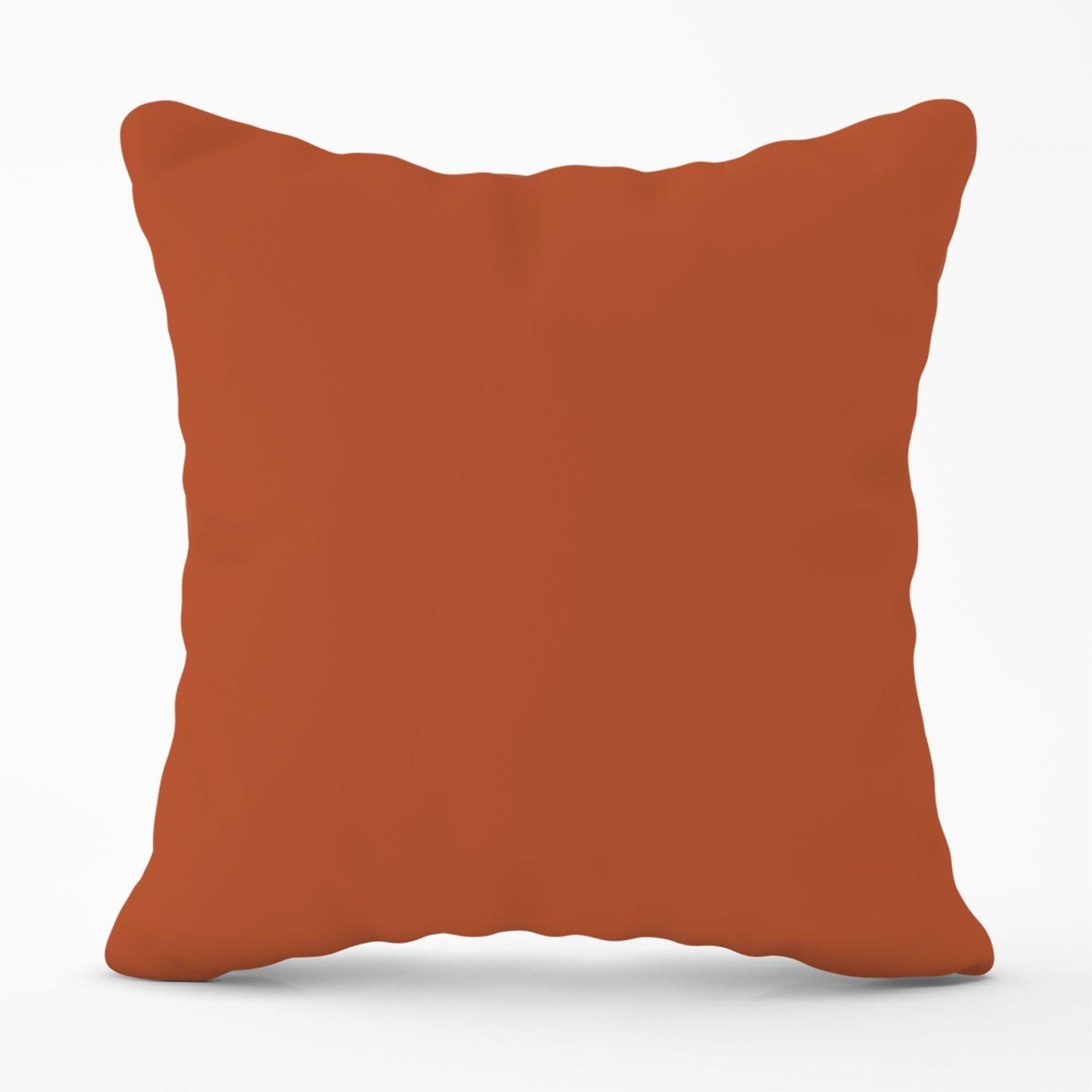 Warren Reed - Designer Rusty Orange Outdoor Cushion