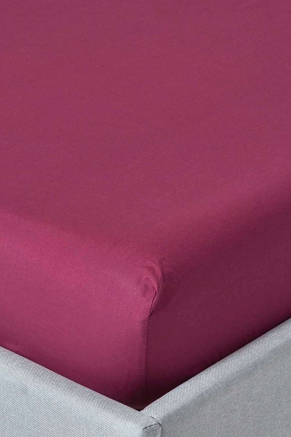 Homescapes Egyptian Cotton Fitted Sheet 12 inch 200 Thread Count in Plum