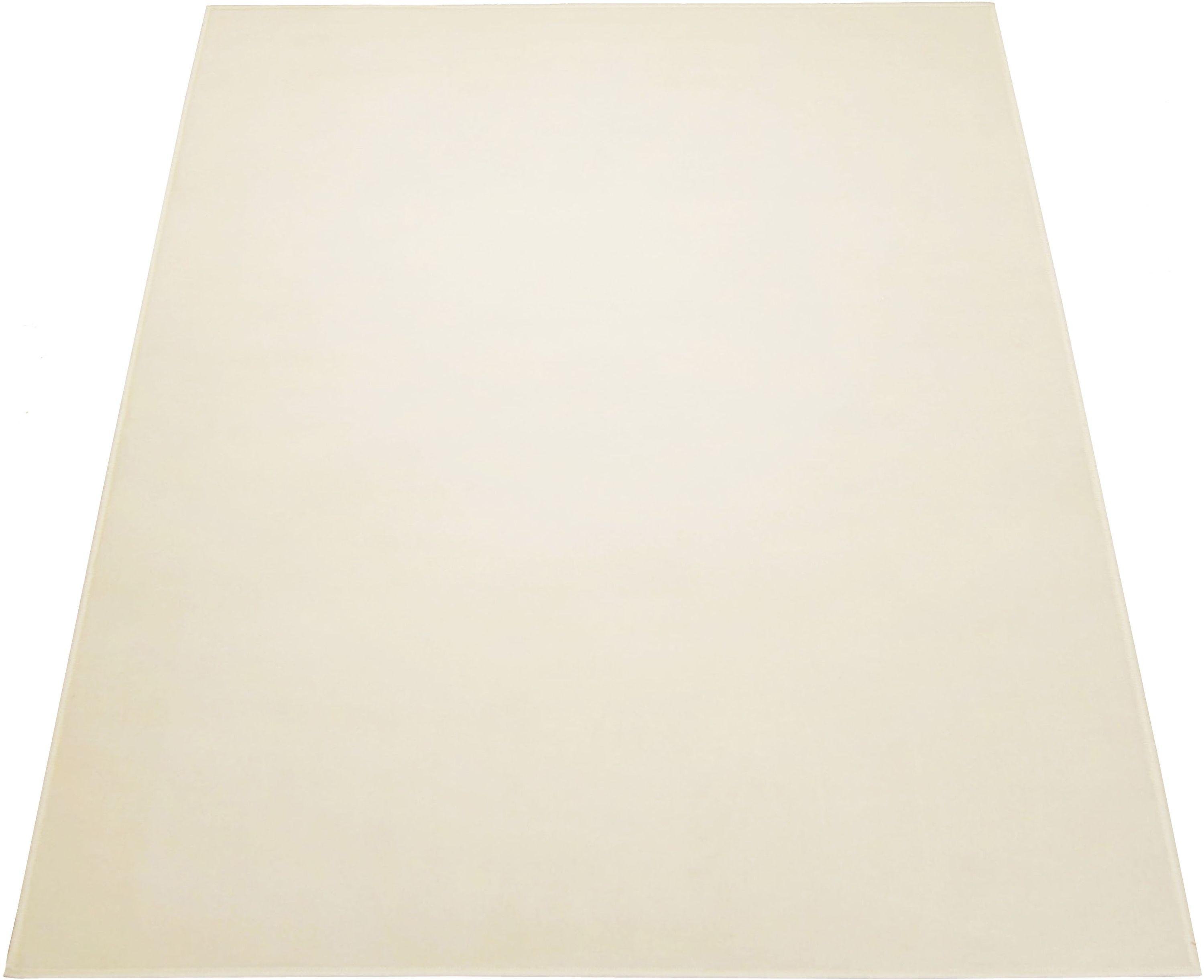 Maestro Plain Short Pile Rug - 120x170cm - Ivory